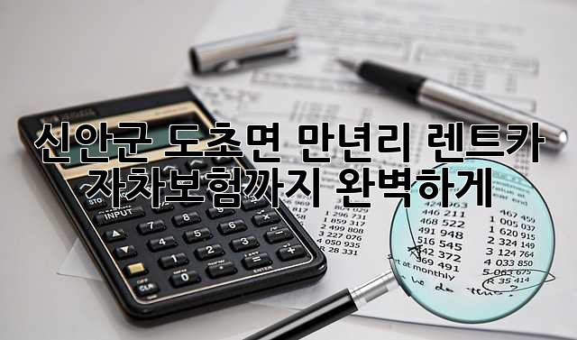 신안군 도초면 만년리 렌트카, 자차보험까지 완벽하게!