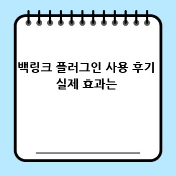 백링크 플러그인 사용 후기 실제 효과는