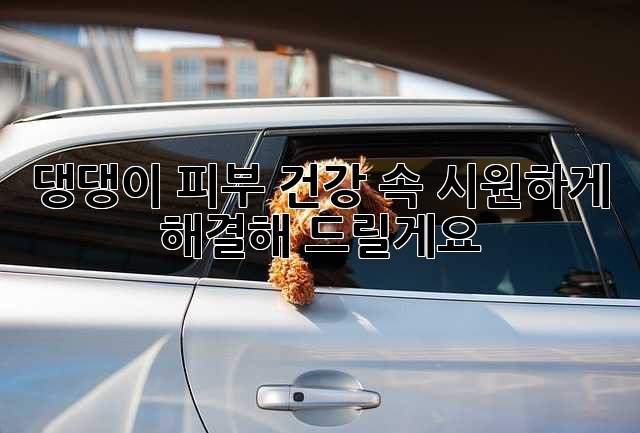 댕댕이 피부 건강, 속 시원하게 해결해 드릴게요!