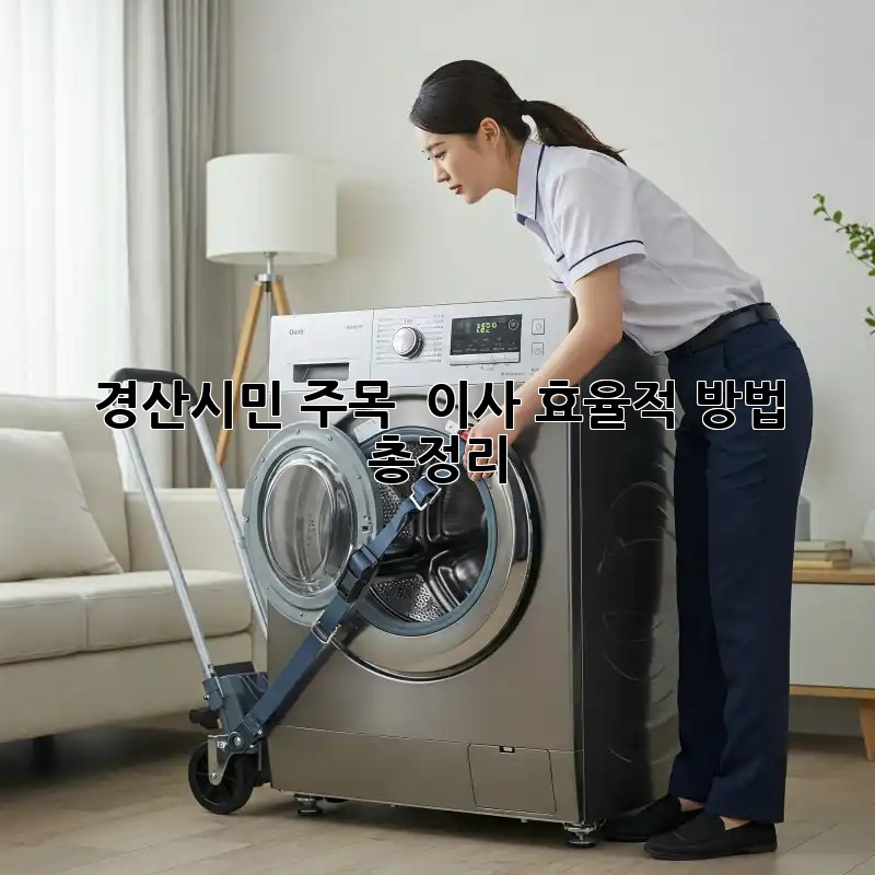 경산시민 주목! 🏡 이사 효율적 방법 총정리