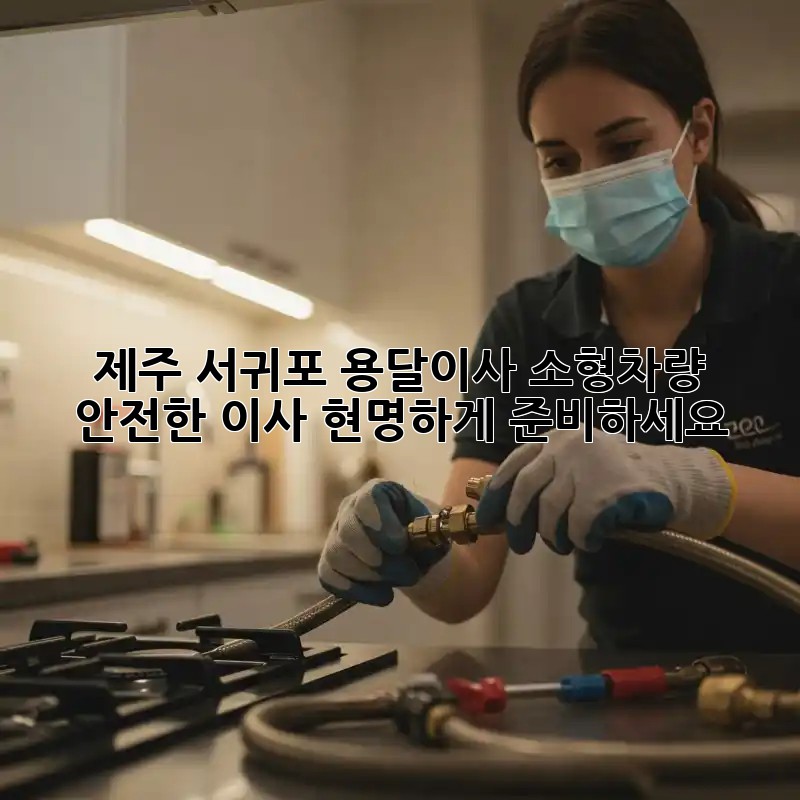 제주 서귀포 용달이사 소형차량: 안전한 이사, 현명하게 준비하세요!